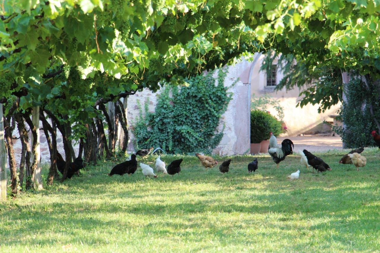 Schloss Englar Appiano Sulla Strada Del Vino Esterno foto